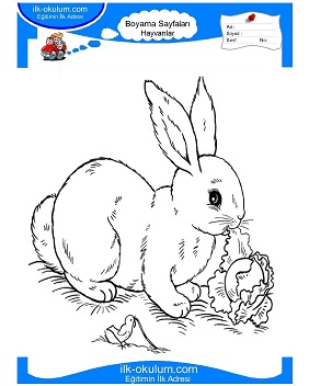 Çocuklar İçin Tavşan Boyama Sayfaları 